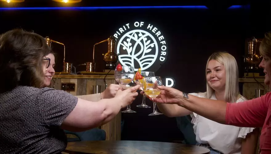 Gin Tasting at Rockfield Distillery