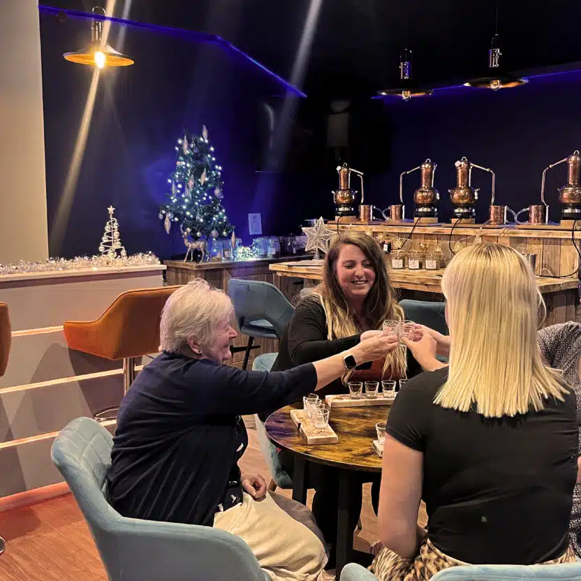 Christmas Gin Experience