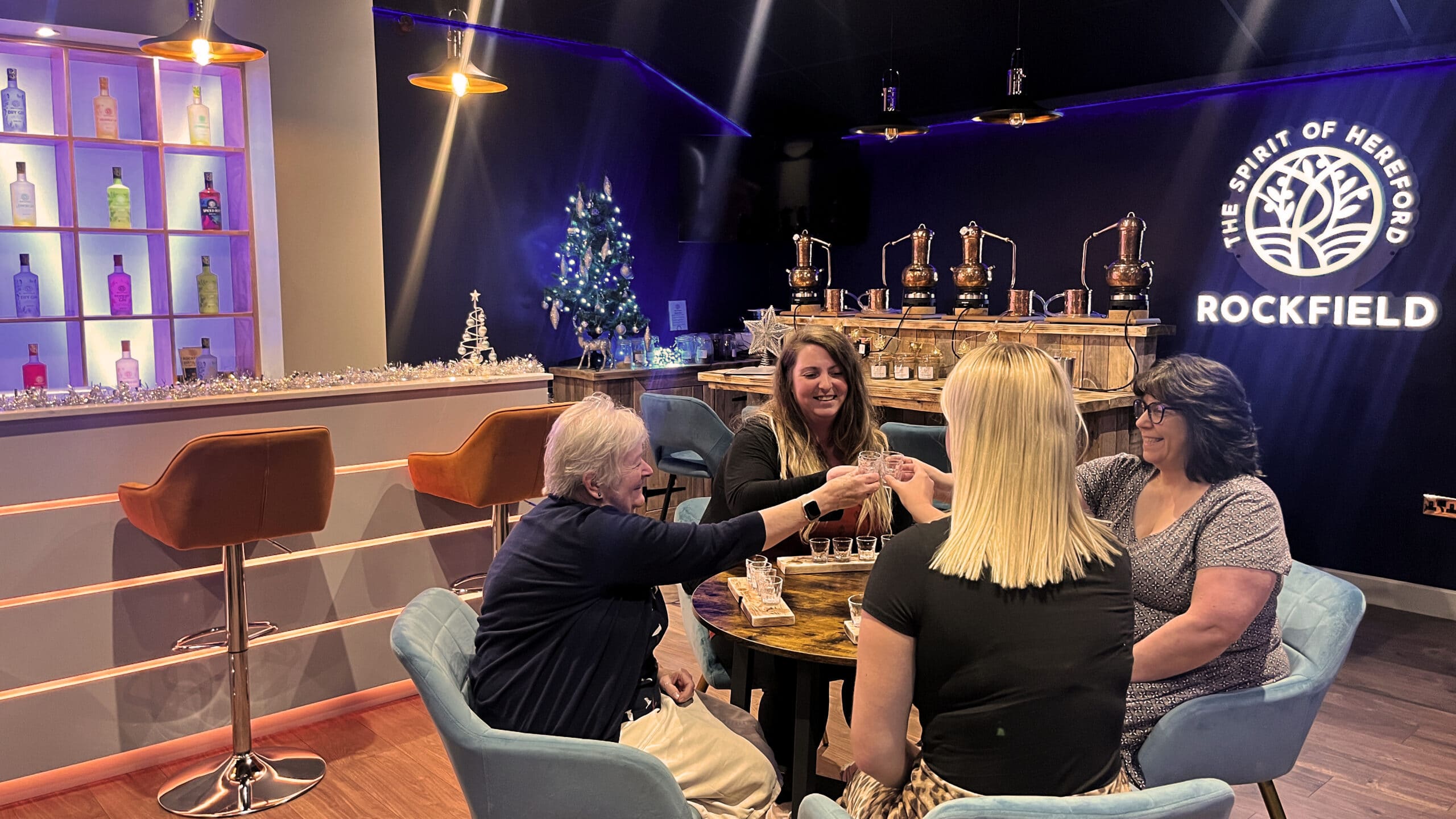 Christmas Gin Experience