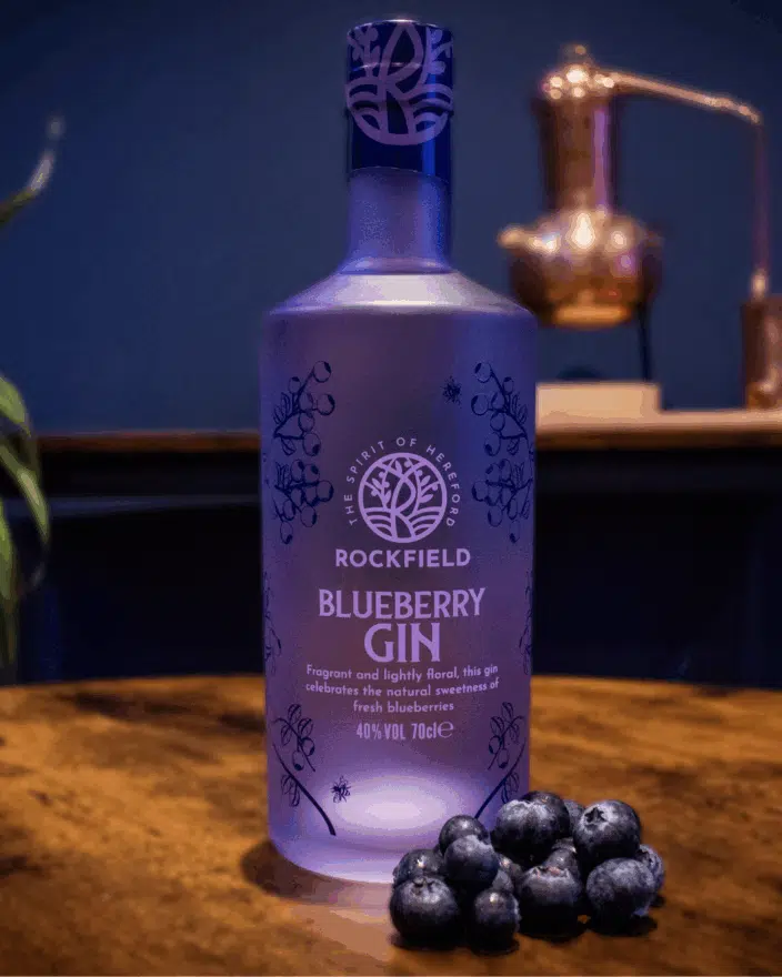 Highlight of 2025 - Blueberry Gin